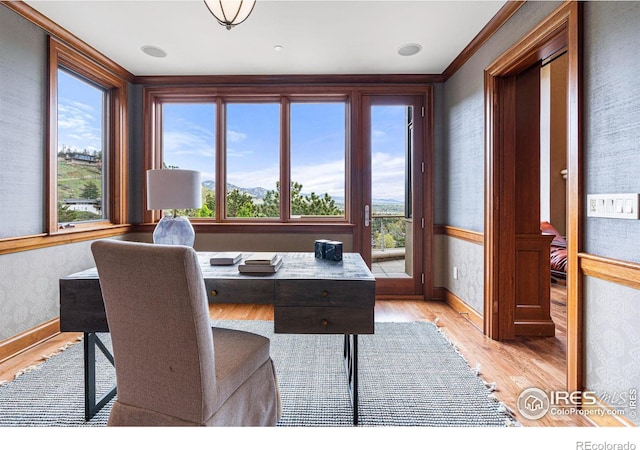 office space with ornamental molding and light hardwood / wood-style flooring