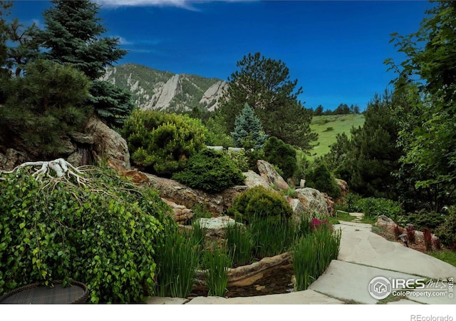 view of property's community featuring a mountain view