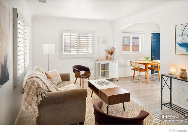 living room featuring light hardwood / wood-style floors