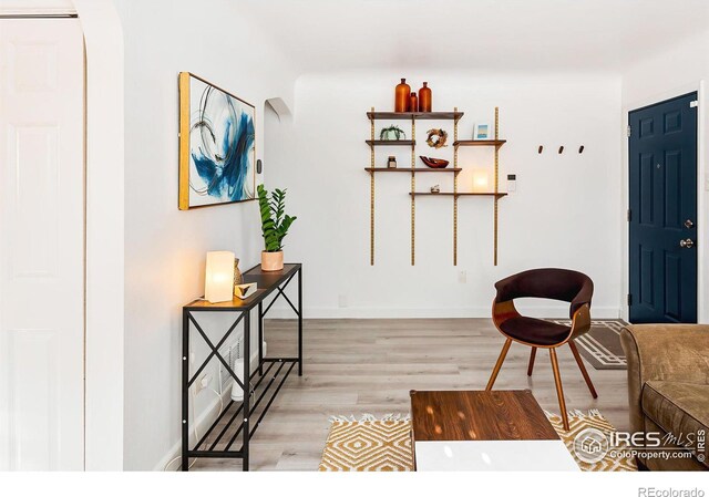 interior space featuring light hardwood / wood-style floors