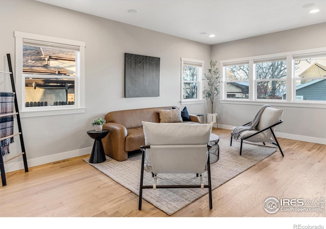 living room with light wood-type flooring