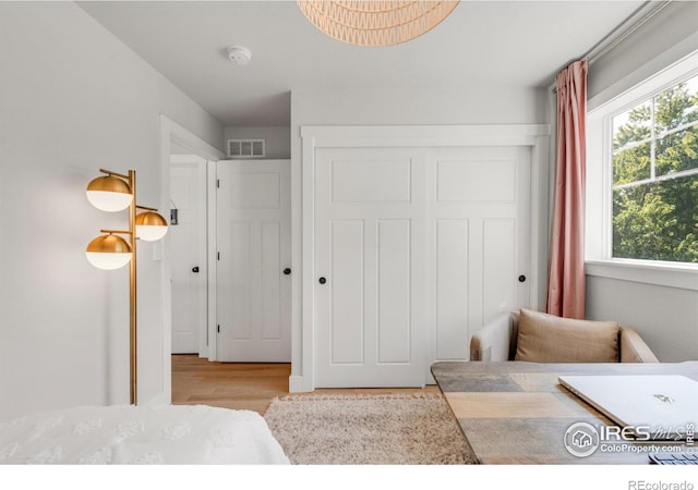 bedroom with a closet, multiple windows, and light wood-type flooring