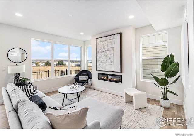 living room with light hardwood / wood-style flooring