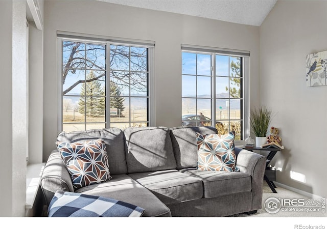 living room featuring lofted ceiling, carpet floors, and a textured ceiling