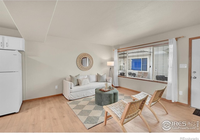 living room with light hardwood / wood-style flooring