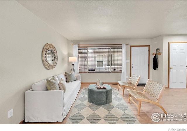 living room featuring wood-type flooring and a textured ceiling