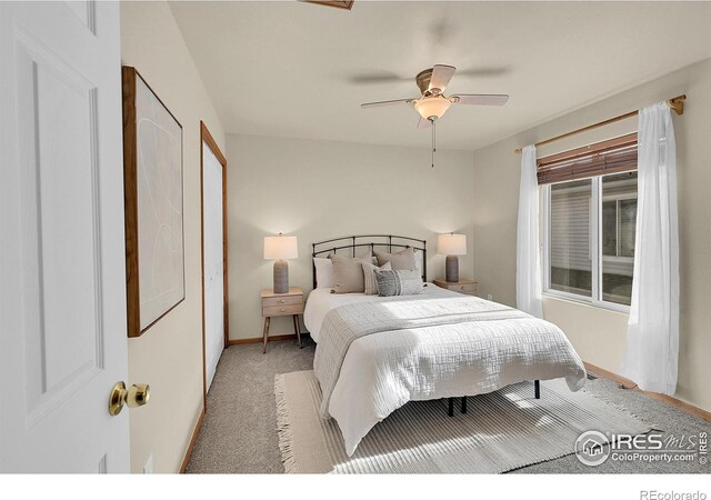 1325 Darrell Rd, Evans, CO 80620 - photo 8