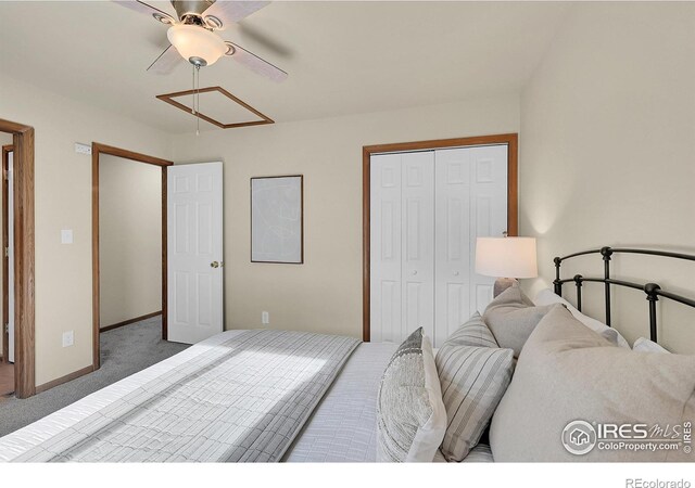 1325 Darrell Rd, Evans, CO 80620 - photo 10