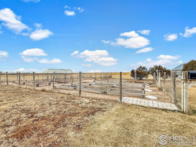 view of yard with a rural view