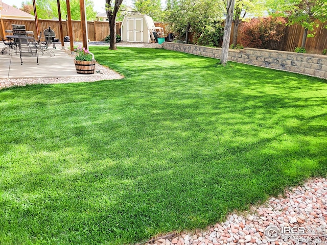 view of yard featuring a patio area and a storage shed