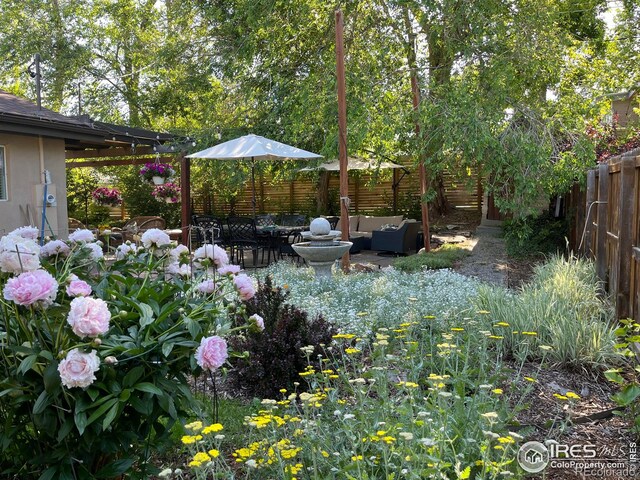 view of yard with an outdoor hangout area