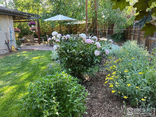 view of yard featuring a patio area