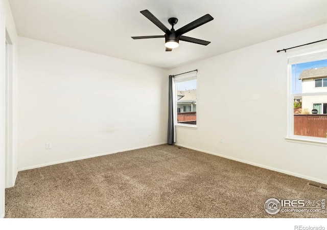 1484 First Light Dr, Windsor, CO 80550 - carpeted empty room featuring plenty of natural light and ceiling fan