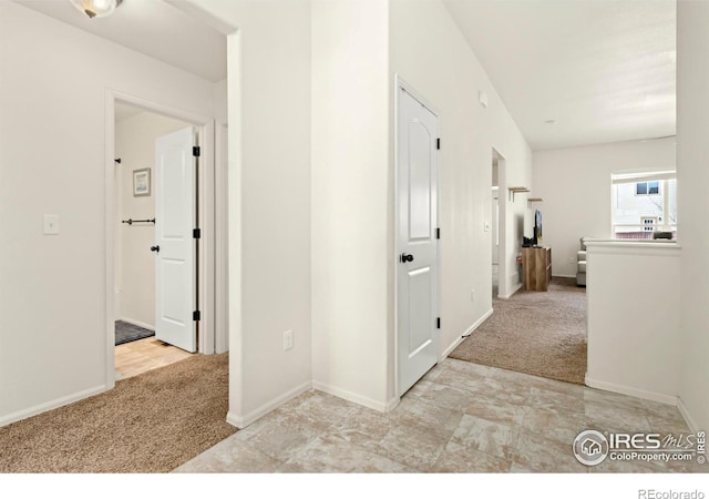 1484 First Light Dr, Windsor, CO 80550 - hallway featuring carpet flooring and baseboards