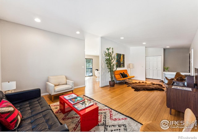 living room featuring hardwood / wood-style flooring