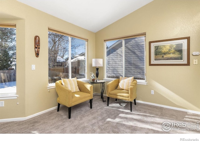 living area with vaulted ceiling and carpet