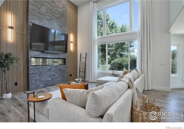 living room with hardwood / wood-style floors