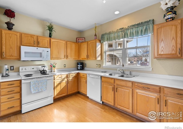 kitchen featuring sink, white appliances, and light hardwood / wood-style floors