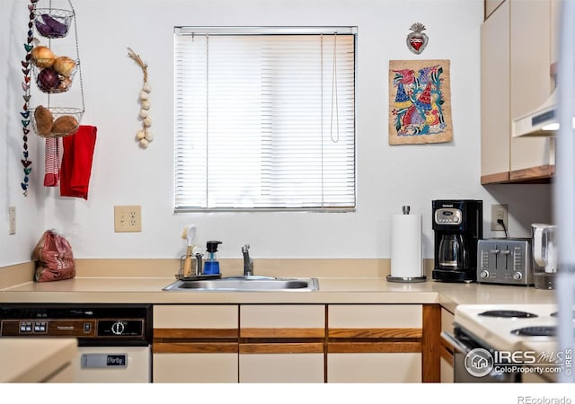 kitchen featuring white cabinetry, dishwasher, and sink