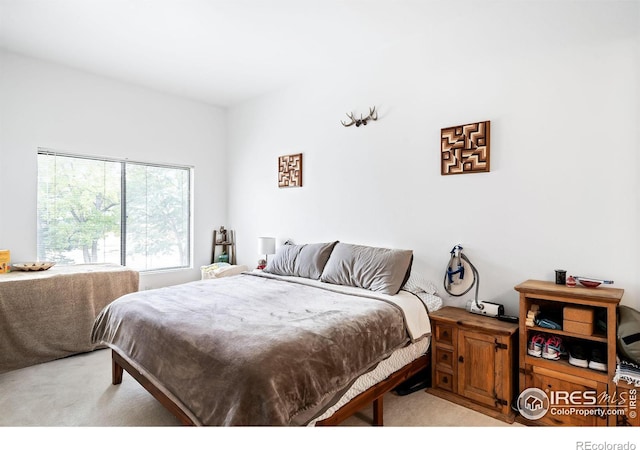 bedroom with light carpet