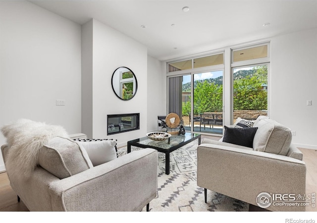 living room with expansive windows and light hardwood / wood-style floors