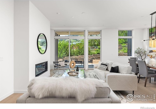 living room with expansive windows and light hardwood / wood-style flooring