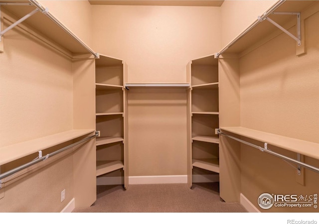 spacious closet featuring light carpet