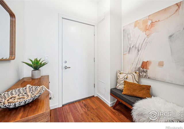 entryway featuring hardwood / wood-style floors