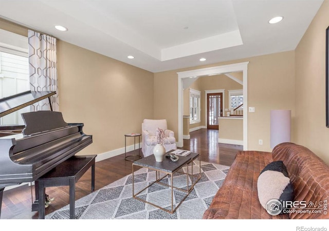 living room with dark wood-type flooring, a healthy amount of sunlight, and a raised ceiling