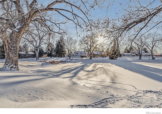 view of snowy yard