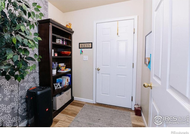 foyer with light hardwood / wood-style floors