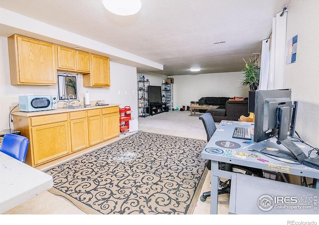 kitchen featuring sink and light brown cabinets