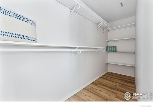 walk in closet with wood-type flooring