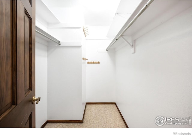 spacious closet featuring light colored carpet