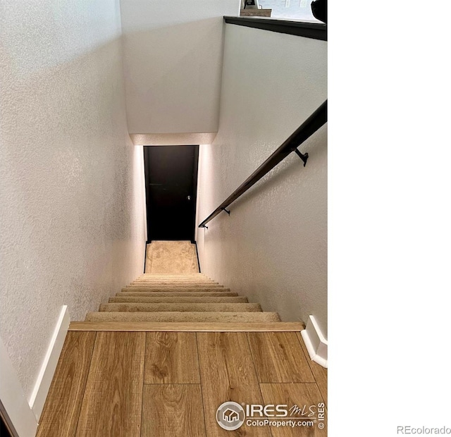 staircase featuring wood-type flooring