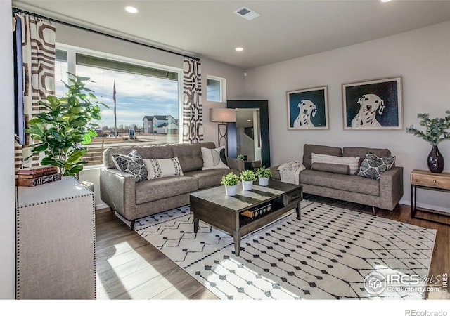 living room featuring hardwood / wood-style floors