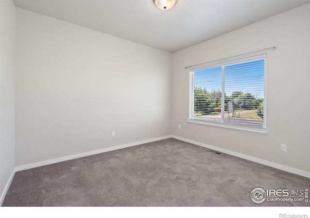 unfurnished room with carpet floors