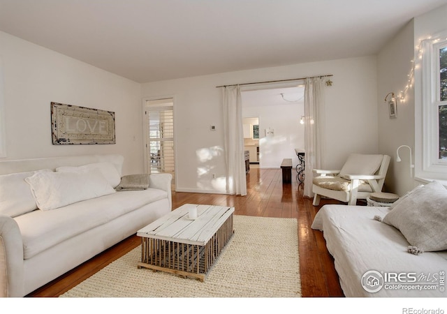 living room with wood-type flooring