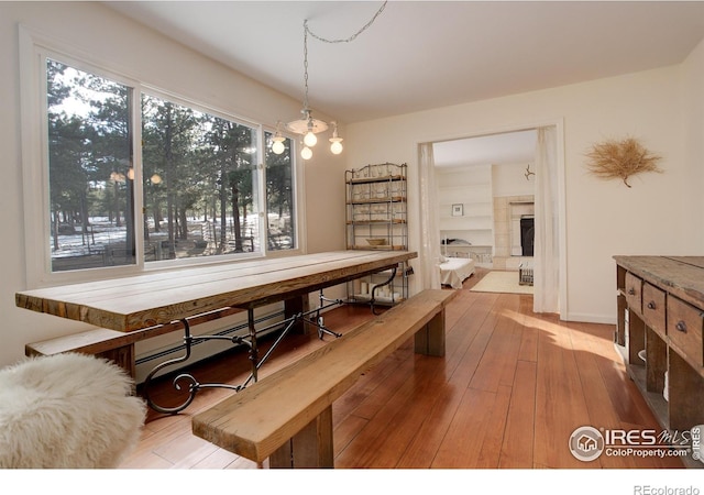 dining room with light hardwood / wood-style flooring