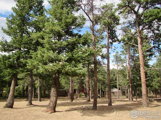 view of local wilderness