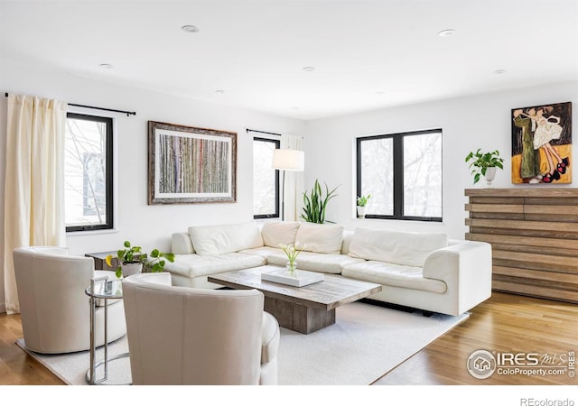 living room with light hardwood / wood-style flooring