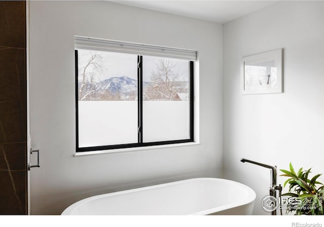 bathroom with a mountain view and a bathing tub