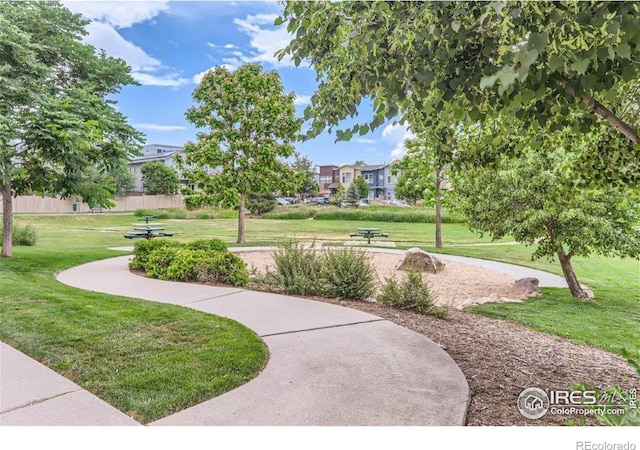 view of home's community with a yard