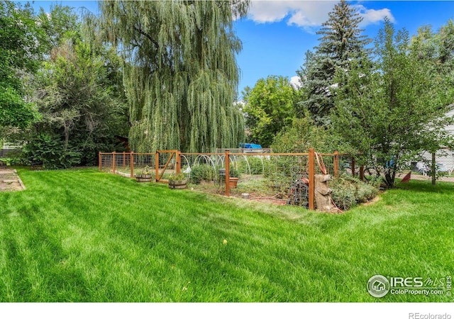 119 N Shields St, Fort Collins, CO 80521 - view of yard