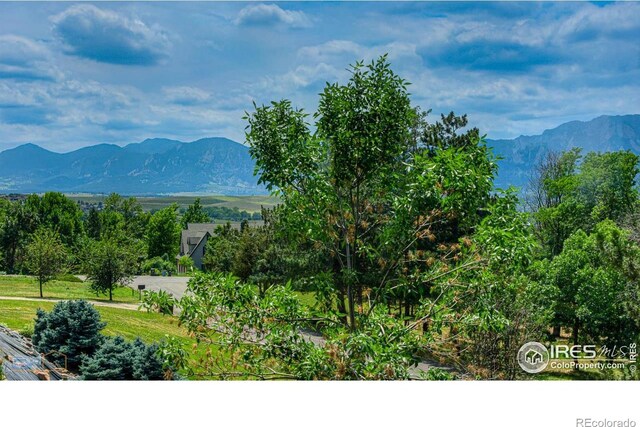 512 Ponderosa Dr, Boulder, CO 80303 - photo 6