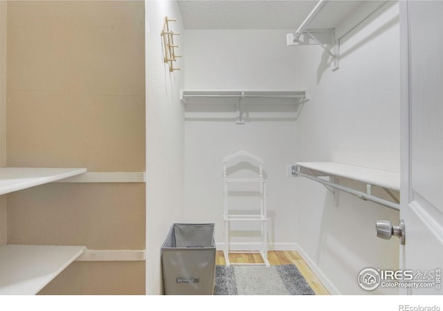 spacious closet featuring light wood-type flooring