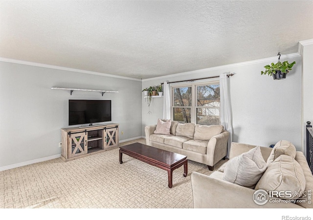 carpeted living room with ornamental molding and a textured ceiling