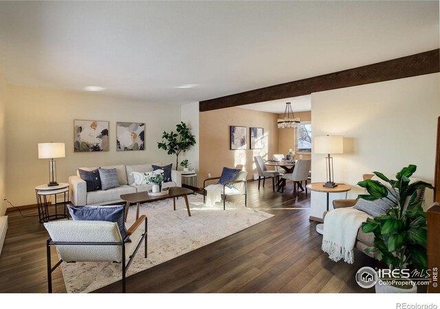 living room with an inviting chandelier, dark wood-type flooring, and beamed ceiling