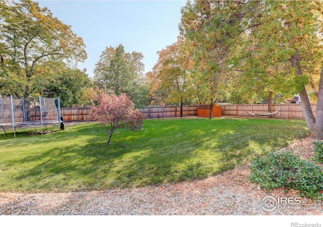 view of yard featuring a trampoline