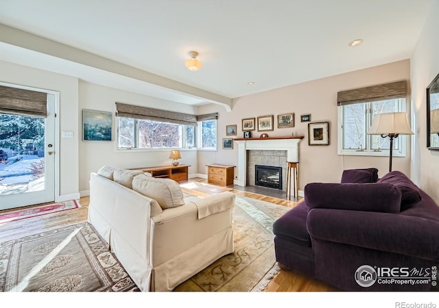 living room with a fireplace and light wood-type flooring